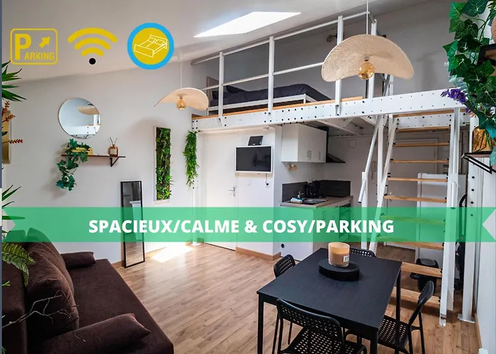 Le Charmant Accueil Viennois/T2/Wifi/Cosy/Parking