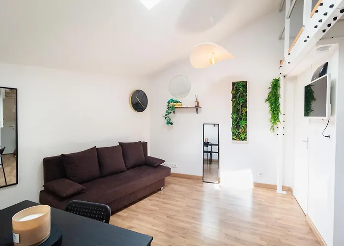 Le Charmant Accueil Viennois/T2/Wifi/Cosy/Parking