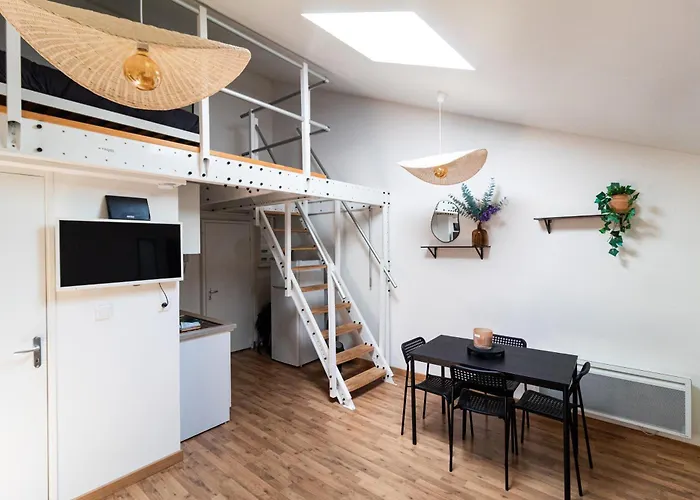 Le Charmant Accueil Viennois/T2/Wifi/Cosy/Parking