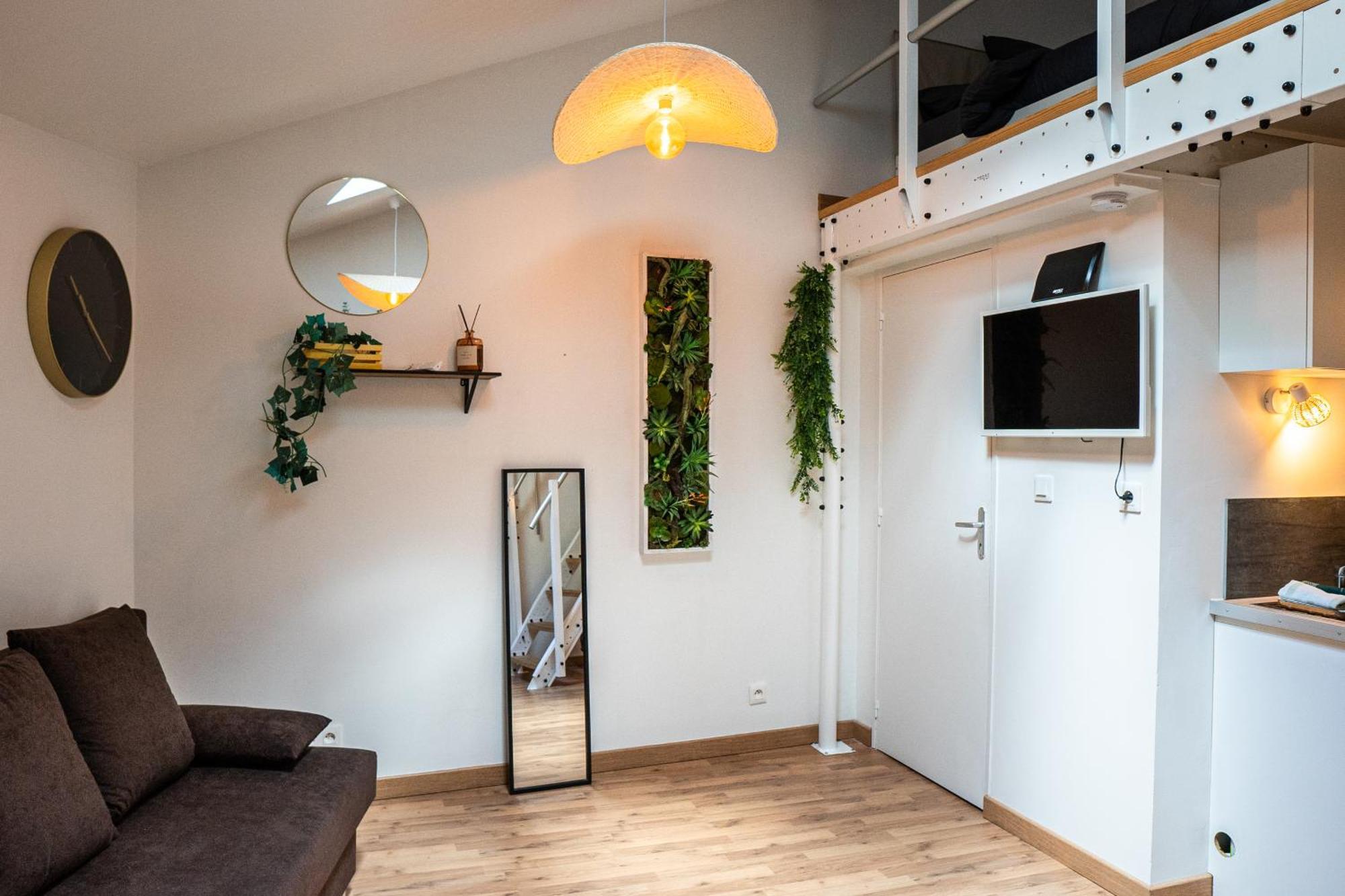 Appartement Le Accueil Viennois/t2/wifi/cosy/parking