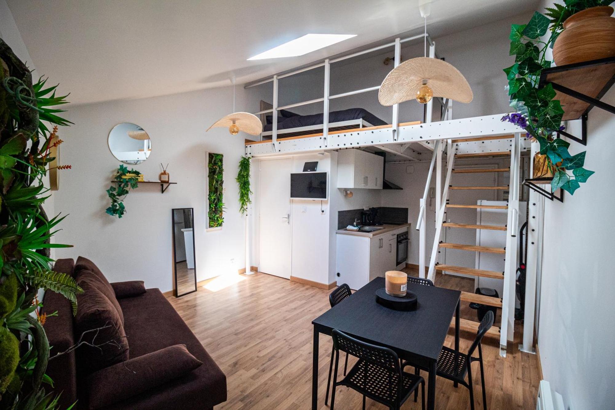 Appartement Le Accueil Viennois/t2/wifi/cosy/parking Poitiers